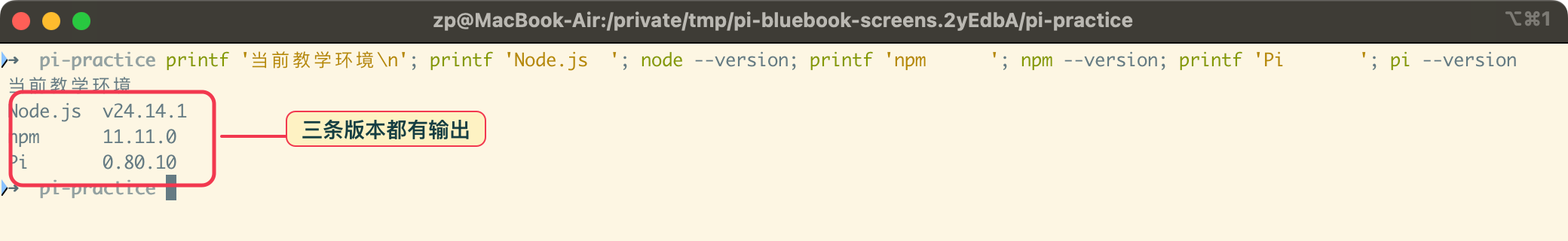 在真实终端中检查 Node.js、npm 与 Pi 版本